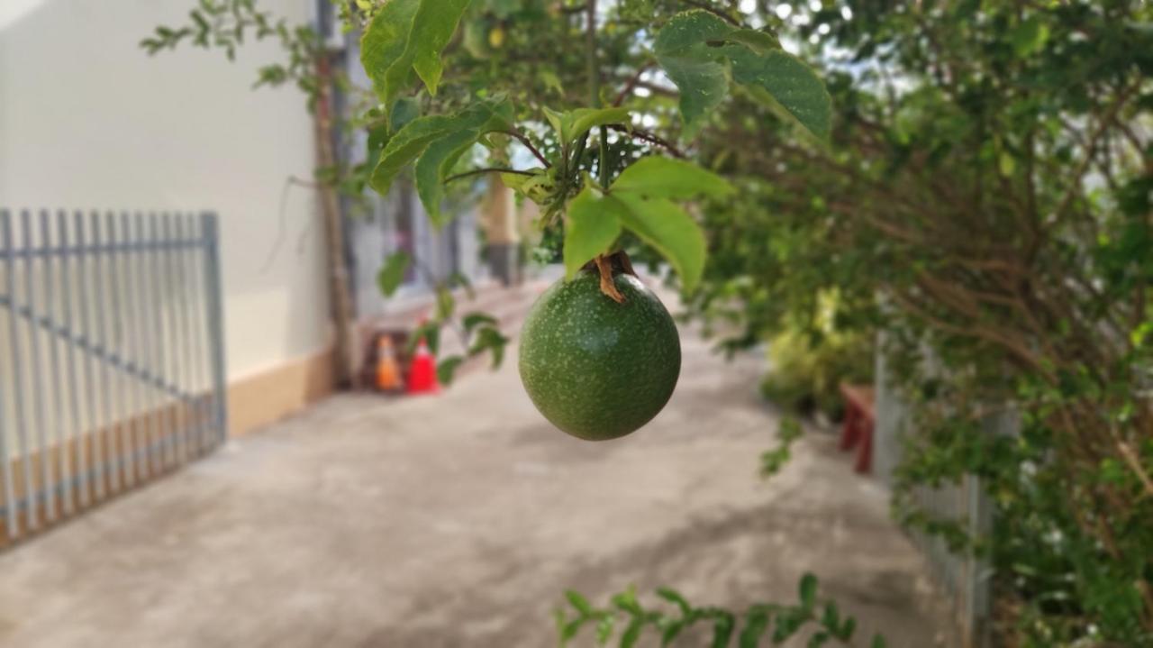 Monica Guesthouse كامبوت المظهر الخارجي الصورة